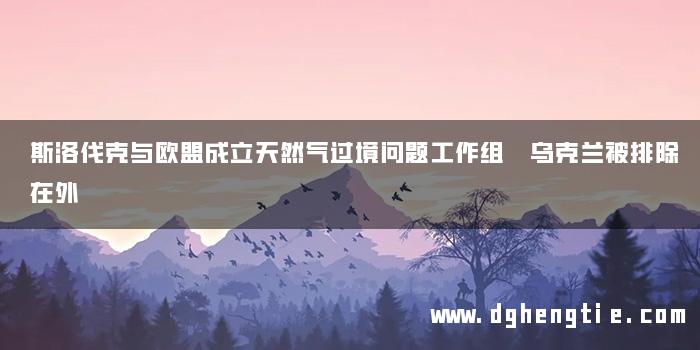 斯洛伐克与欧盟成立天然气过境问题工作组 乌克兰被排除在外